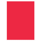 Lofaris Pure Solid Red Photo Booth Backdrop For Portrait